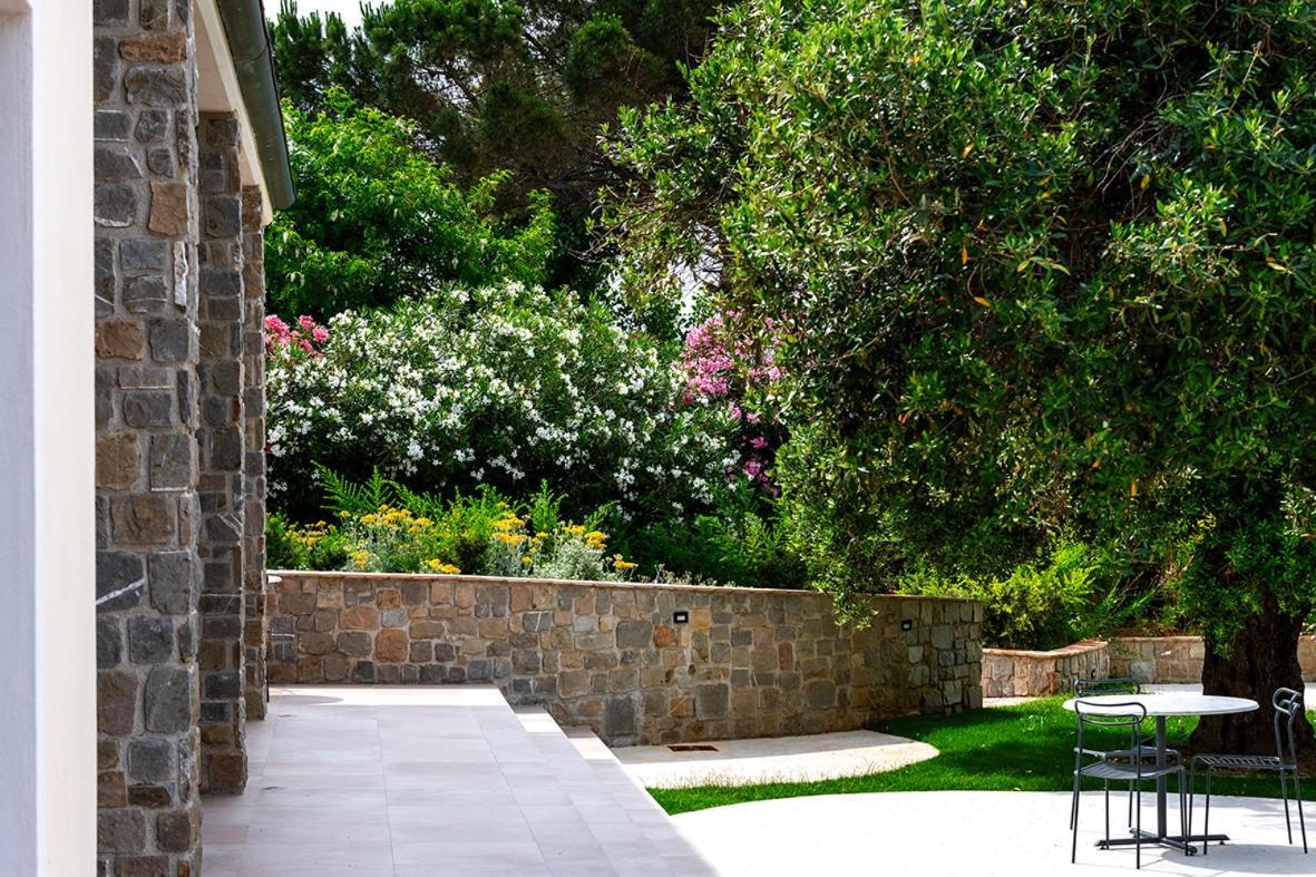 Oliveto A Mare - Suite & Apartment Ascea Dış mekan fotoğraf