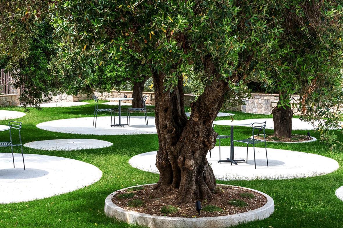 Oliveto A Mare - Suite & Apartment Ascea Dış mekan fotoğraf