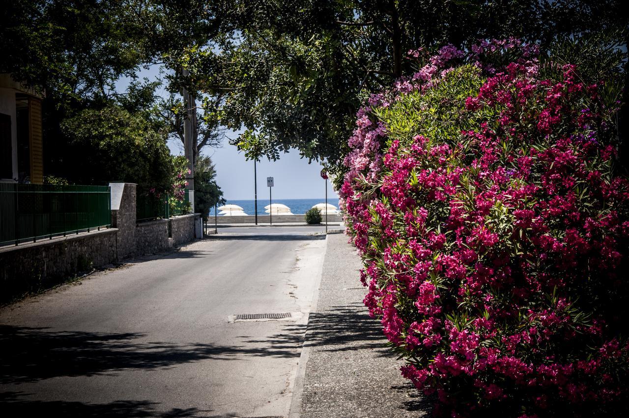 Oliveto A Mare - Suite & Apartment Ascea Dış mekan fotoğraf