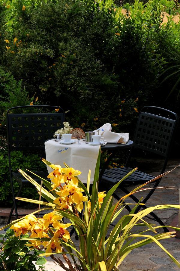 Oliveto A Mare - Suite & Apartment Ascea Dış mekan fotoğraf