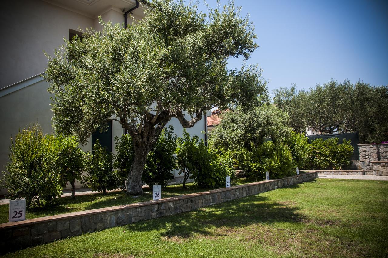 Oliveto A Mare - Suite & Apartment Ascea Dış mekan fotoğraf