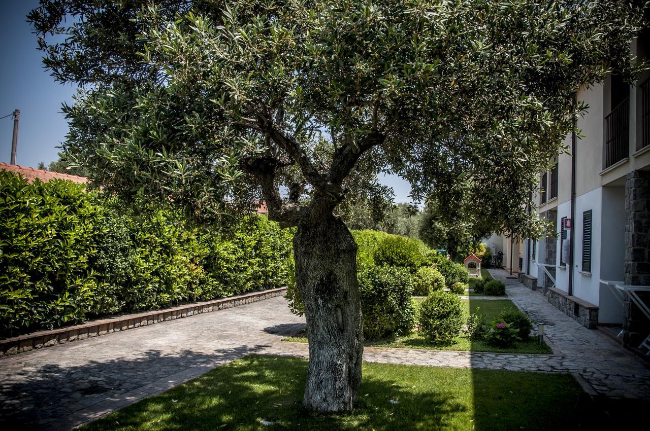 Oliveto A Mare - Suite & Apartment Ascea Dış mekan fotoğraf