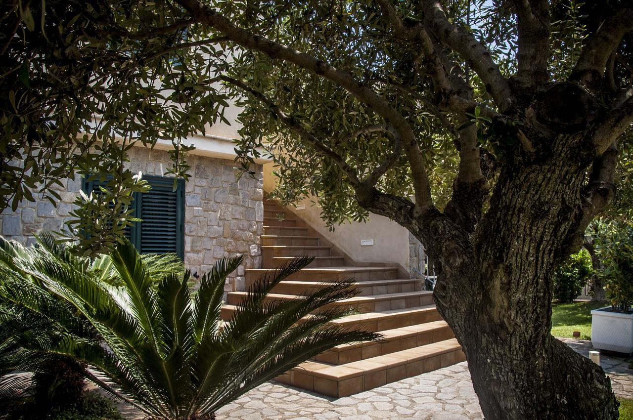 Oliveto A Mare - Suite & Apartment Ascea Dış mekan fotoğraf