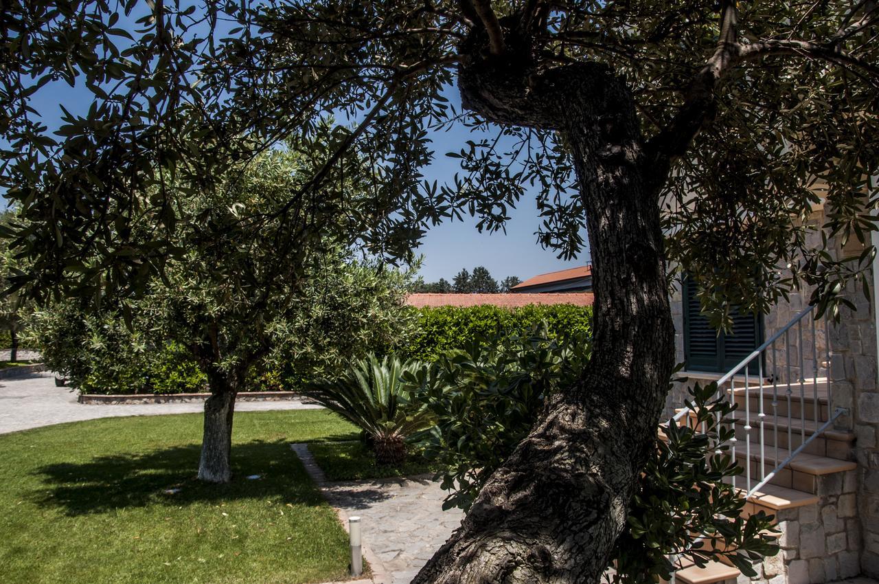 Oliveto A Mare - Suite & Apartment Ascea Dış mekan fotoğraf