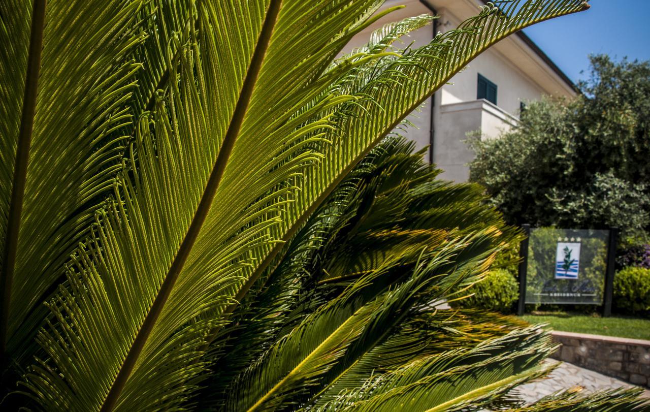 Oliveto A Mare - Suite & Apartment Ascea Dış mekan fotoğraf