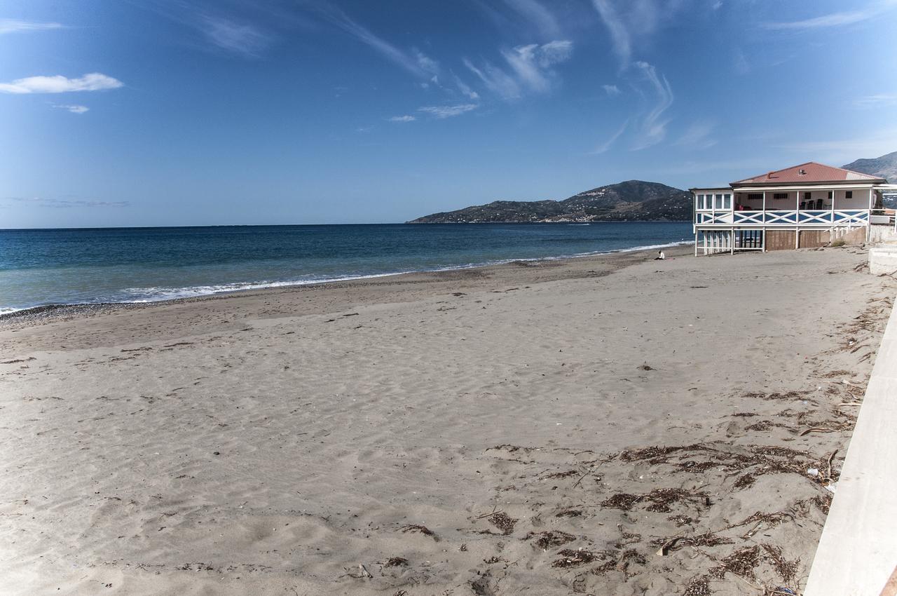 Oliveto A Mare - Suite & Apartment Ascea Dış mekan fotoğraf